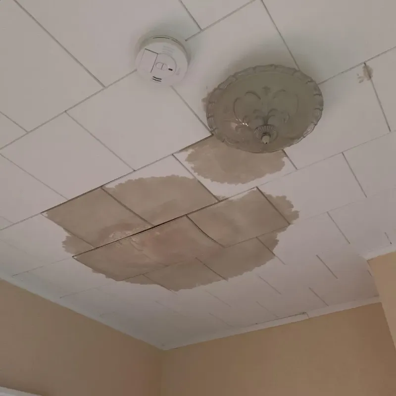 Ceiling Water Damage Repair in Greentown, IN