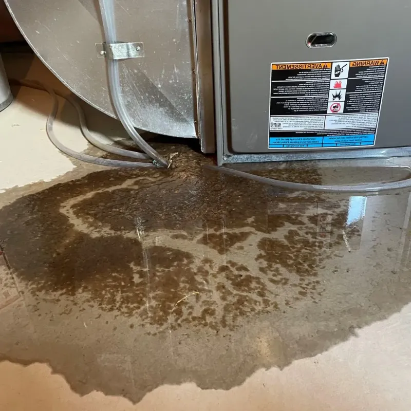Pipe Burst and Leak Restoration in Greentown, IN